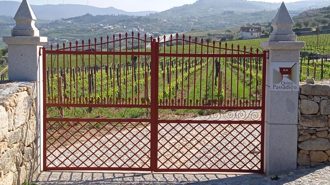 Quinta Do Passadico Villa Lamego Exterior foto